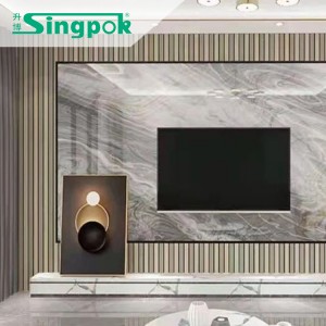 SP Great Wall Panel House Dector